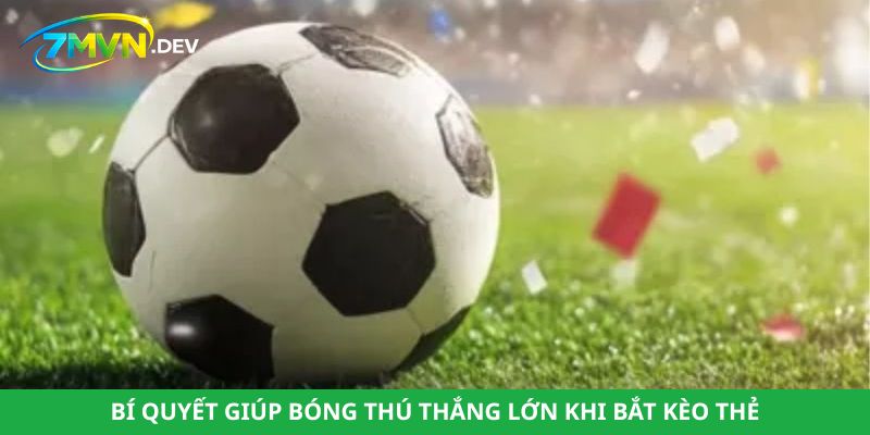 Bí quyết giúp bóng thú thắng lớn khi bắt kèo thẻ