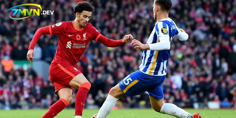 Phong độ gần đây nhất của Brighton vs Liverpool