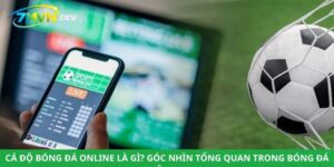 Cá Độ Bóng Đá Online Là Gì? Góc Nhìn Tổng Quan Trong Bóng Đá Hiện Đại
