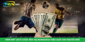 Nắm Bắt Cách Cược Kèo Tại Bongdaso Hiệu Quả Cho Người Mới