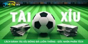 Cách Đánh Tài Xỉu Bóng Đá Luôn Thắng - Góc Nhìn Phân Tích