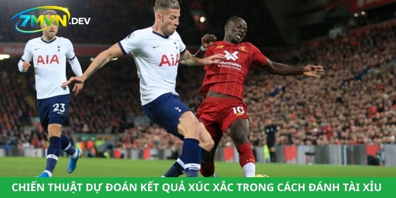 Chiến thuật dự đoán kết quả xúc xắc trong cách đánh tài xỉu bóng đá luôn thắng 