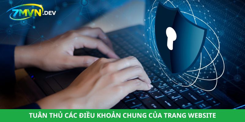 Tuân thủ các điều khoản chung của trang website
