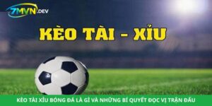 Kèo Tài Xỉu Bóng Đá Là Gì Và Những Bí Quyết Đọc Vị Trận Đấu