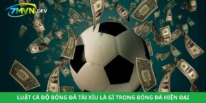 Luật Cá Độ Bóng Đá Tài Xỉu Là Gì Trong Bóng Đá Hiện Đại