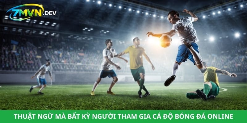 Thuật ngữ mà bất kỳ người tham gia cá độ bóng đá online cũng cần biết