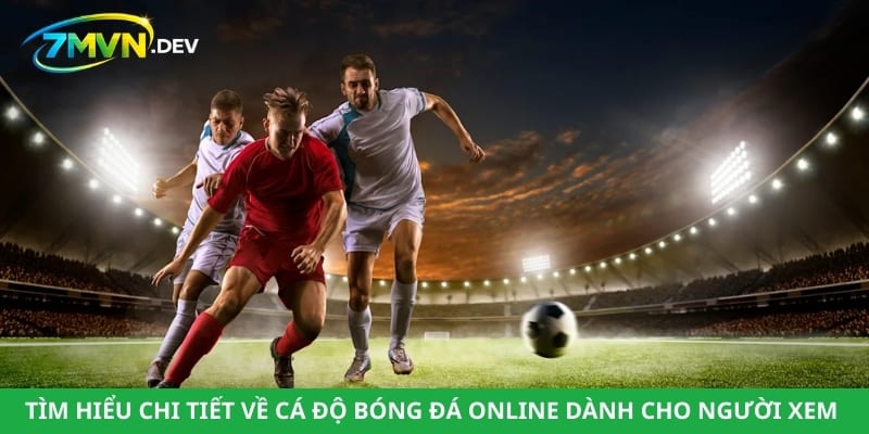 Tìm hiểu chi tiết về cá độ bóng đá online dành cho người xem bóng đá