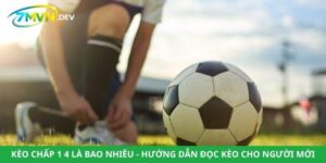 Kèo Chấp 1 4 Là Bao Nhiêu - Hướng Dẫn Đọc Kèo Cho Người Mới