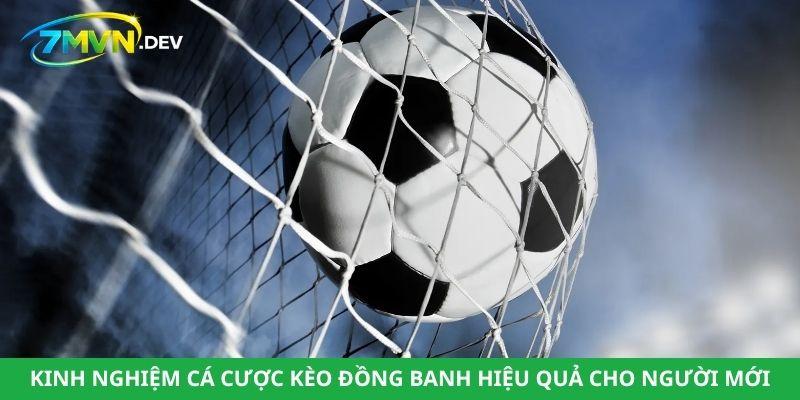 Kinh nghiệm cá cược kèo đồng banh hiệu quả cho người mới