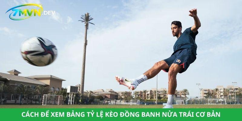 Cách để xem bảng tỷ lệ kèo đồng banh nửa trái cơ bản